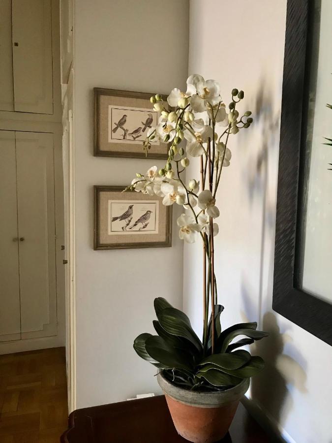Appartement Magnifique 2 Pieces De 65M2 -Quartier Des Musiciens à Nice Extérieur photo